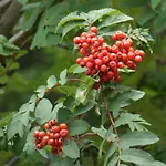 Oberrainbauer 팜스테이