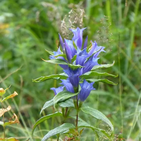 Oberrainbauer Κατάλυμα σε φάρμα Kleinarl