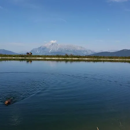 Oberrainbauer Κατάλυμα σε φάρμα