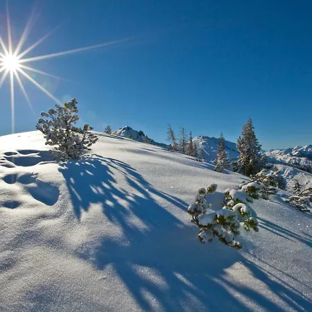 Oberrainbauer ファームステイ *