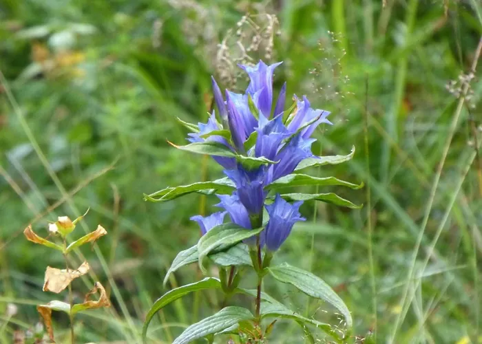 Oberrainbauer ファームステイ クライナル