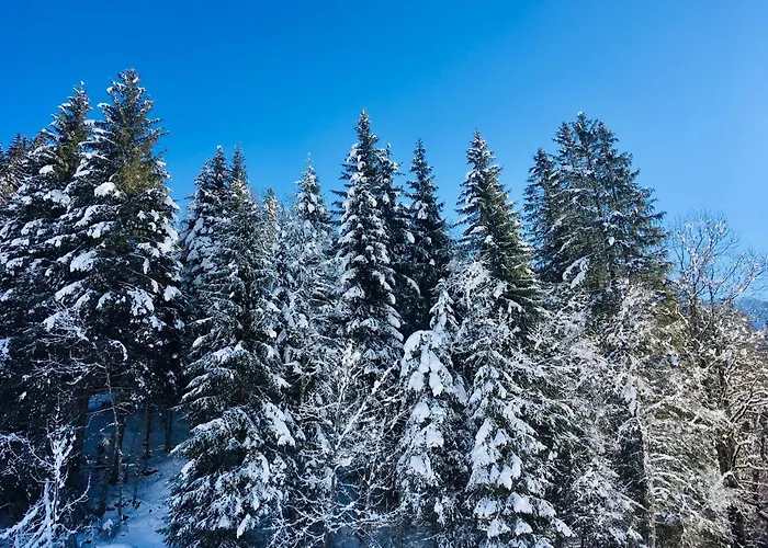 Oberrainbauer בית חווה *