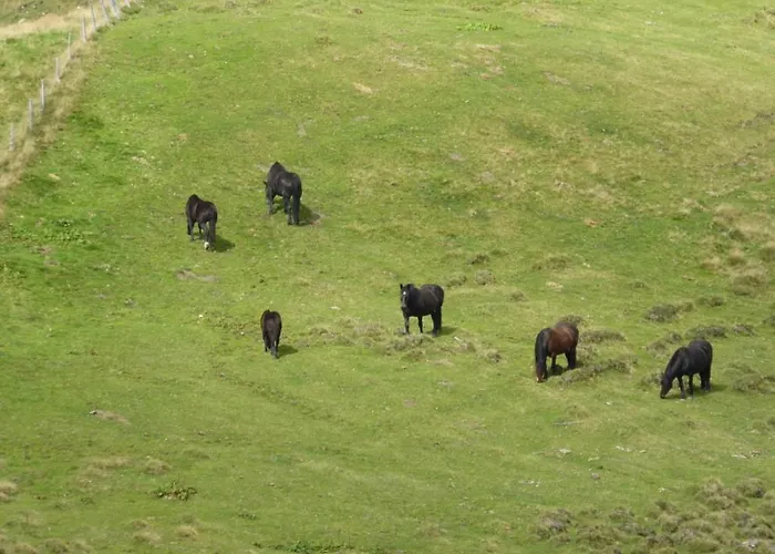 Oberrainbauer * קליינארל