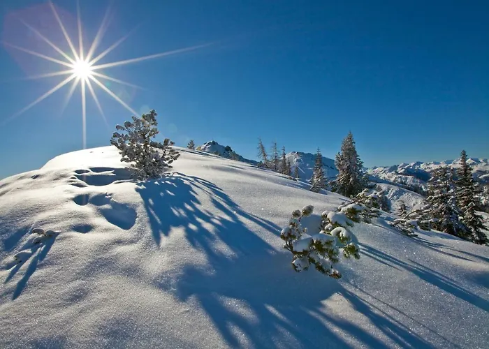 Oberrainbauer בית חווה *